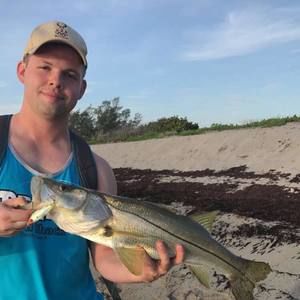 Meet your Posher, Noah